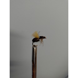 Mosca AGC Competiccion nº 99