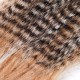 PIEL AGC COLOR GREEZLY