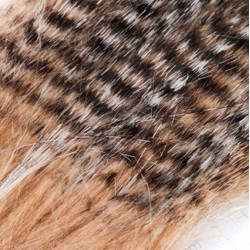PIEL AGC COLOR GREEZLY