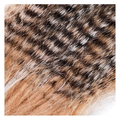 PIEL AGC COLOR GREEZLY