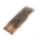 PIEL AGC COLOR GREEZLY