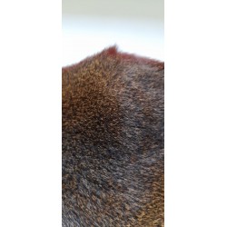 Piel de ardilla natural AGC fox