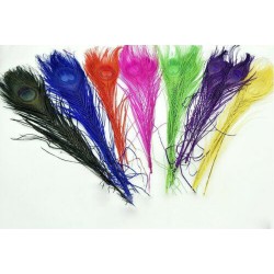 pluma de pavo real AGC COLORES