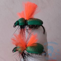 Mosca AGC Competición Nº6