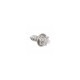 CLAVOS BOTAS DE VADEO AUTOATORNILLABLES TUNGSTEN