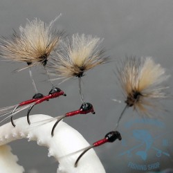 Mosca AGC Competición Nº22