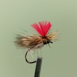 Mosca AGC Competición Nº9