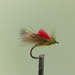 Mosca AGC Competición Nº20