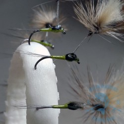 Mosca AGC Competición Nº23