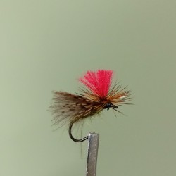 Mosca AGC Competición Nº36