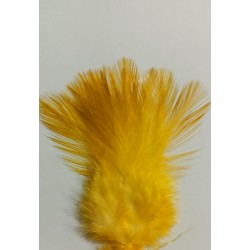Gallo Leon color amarillo