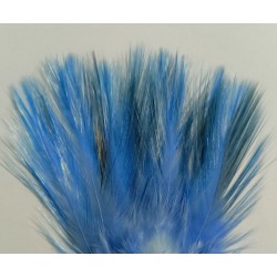 Indio acerado color azul