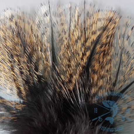 Pluma de Gallo de León Pardo aconchado tostado