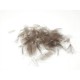 Pluma culo de pato AGC salvaje CDC gris medio