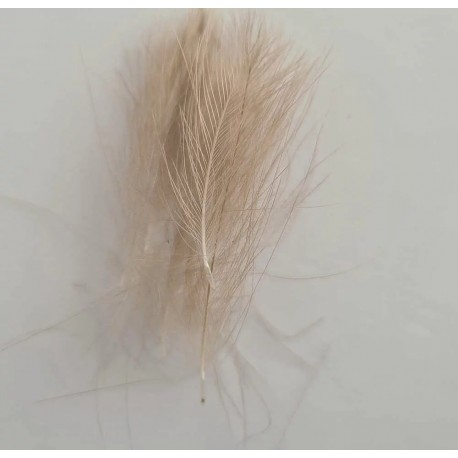 Pluma culo de pato Avellanado claro