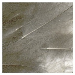 pluma de culo de pato AGC gris acerado teñido CDC