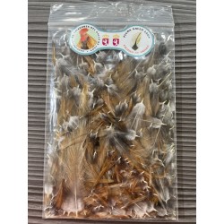 Pluma Cuello completo Gallo Vivo LEON
