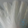 Indio palometa