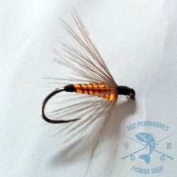 Mosca ahogada Leonesa AGC Nº1