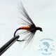 Mosca ahogada Leonesa AGC Nº4