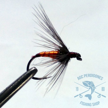 Mosca ahogada Leonesa AGC Nº4