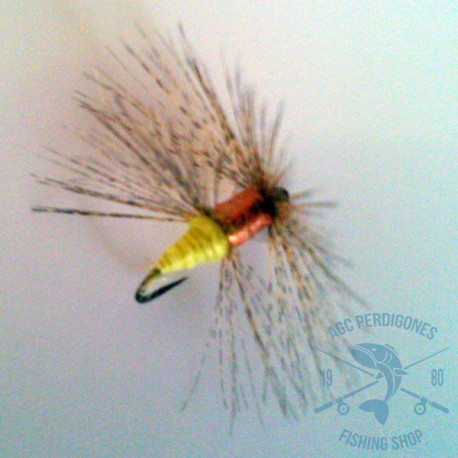 Mosca ahogada Leonesa AGC Nº5