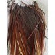 Paquete 10 plumas de colgadera