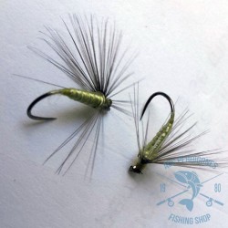 Mosca ahogada Leonesa AGC Nº8
