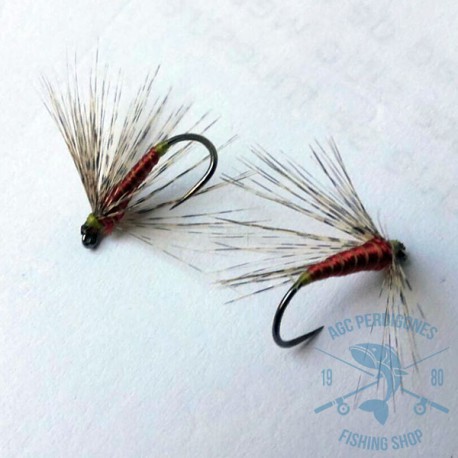 Mosca ahogada Leonesa AGC Nº9