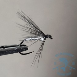 Mosca ahogada Leonesa AGC Nº11
