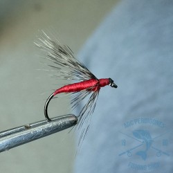 Mosca ahogada Leonesa AGC Nº12