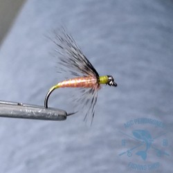 Mosca ahogada Leonesa AGC Nº18