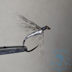 Mosca ahogada Leonesa AGC Nº21