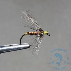 Mosca ahogada Leonesa AGC Nº22