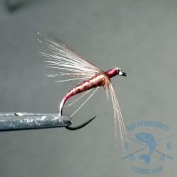 Mosca ahogada Leonesa AGC Nº23