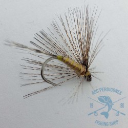 Mosca ahogada Leonesa AGC Nº24