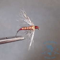 Mosca ahogada Leonesa AGC Nº25