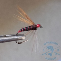 Mosca ahogada Leonesa AGC Nº26