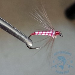 Mosca ahogada Leonesa AGC Nº28