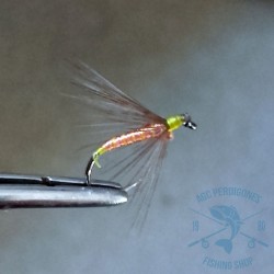 Mosca ahogada Leonesa AGC Nº29