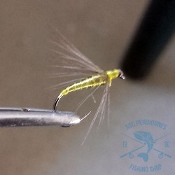 Mosca ahogada Leonesa AGC Nº32