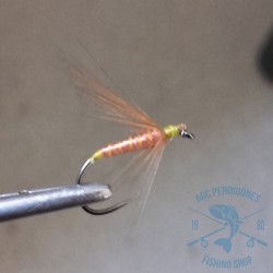 Mosca ahogada Leonesa AGC Nº34