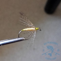 Mosca ahogada Leonesa AGC Nº35