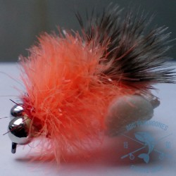 Mosca Lago AGC Nº2