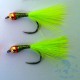 Mosca Lago AGC Nº5