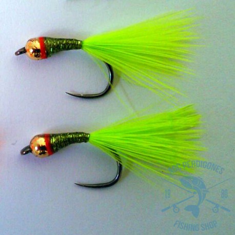 Mosca Lago AGC Nº5