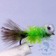 Mosca Lago AGC Nº8