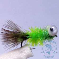 Mosca Lago AGC Nº8