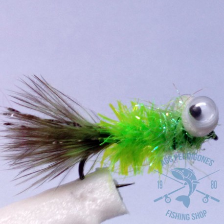 Mosca Lago AGC Nº8