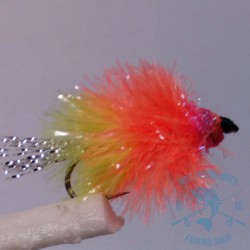 Mosca Lago AGC Nº9